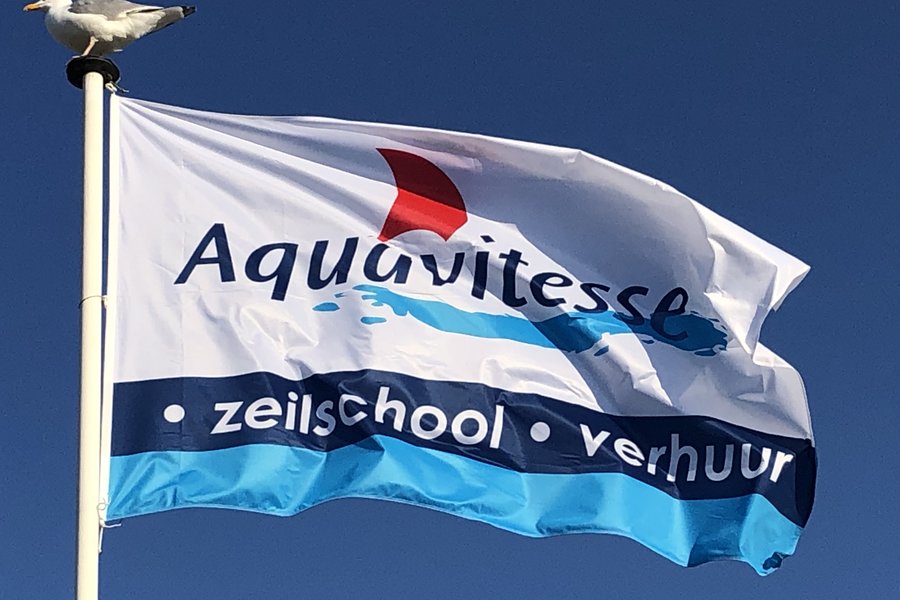 vlagmeeuw1.jpg